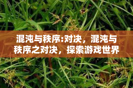 混沌与秩序:对决，混沌与秩序之对决，探索游戏世界的两极