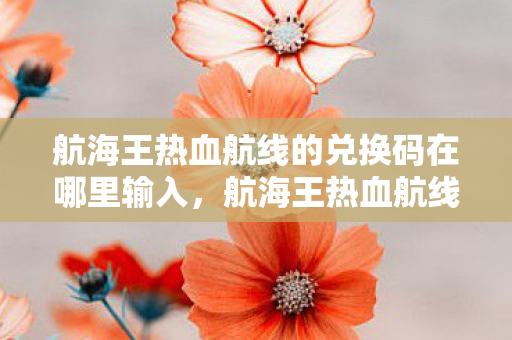 航海王热血航线的兑换码在哪里输入，航海王热血航线兑换码输入指南