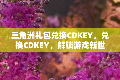三角洲礼包兑换CDKEY，兑换CDKEY，解锁游戏新世界的钥匙