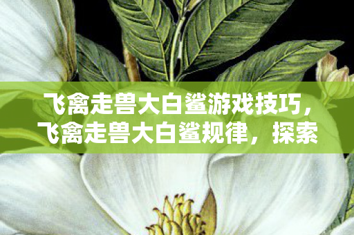 飞禽走兽大白鲨游戏技巧，飞禽走兽大白鲨规律，探索游戏世界的奥秘