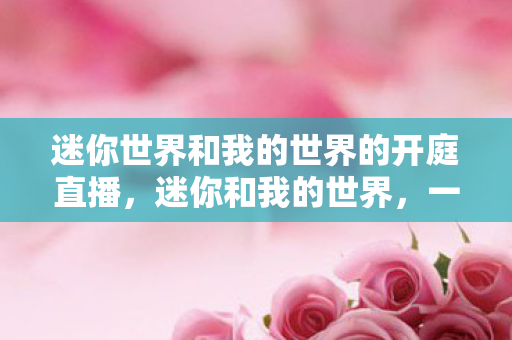 迷你世界和我的世界的开庭直播，迷你和我的世界，一场关于创意与版权的较量