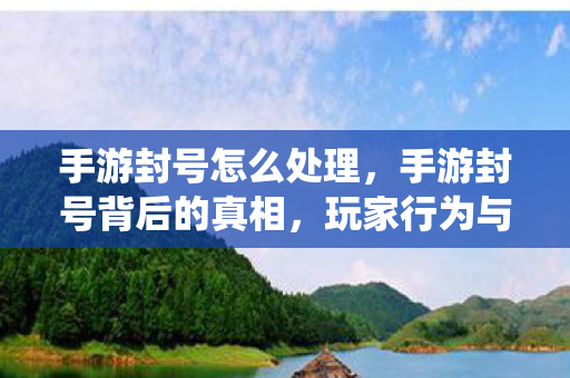 手游封号怎么处理，手游封号背后的真相，玩家行为与系统检测的博弈