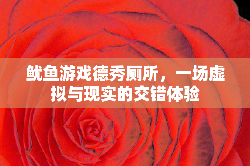 鱿鱼游戏德秀厕所，一场虚拟与现实的交错体验