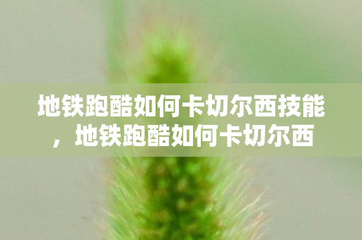地铁跑酷如何卡切尔西技能，地铁跑酷如何卡切尔西
