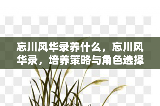 忘川风华录养什么，忘川风华录，培养策略与角色选择指南