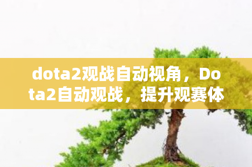 dota2观战自动视角，Dota2自动观战，提升观赛体验的新利器