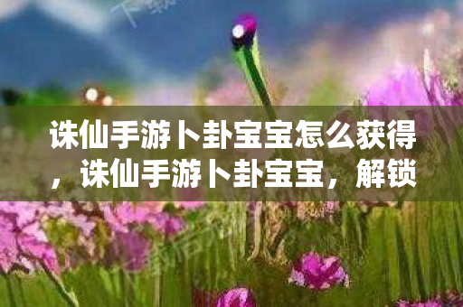 诛仙手游卜卦宝宝怎么获得，诛仙手游卜卦宝宝，解锁你的神秘运势