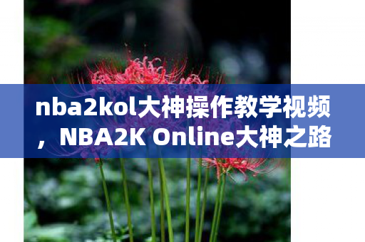 nba2kol大神操作教学视频，NBA2K Online大神之路，从新手到高手的蜕变