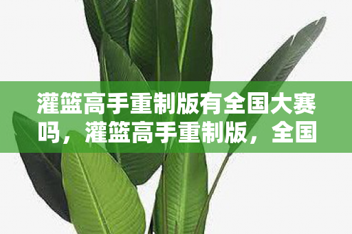 灌篮高手重制版有全国大赛吗，灌篮高手重制版，全国大赛的期待与回忆