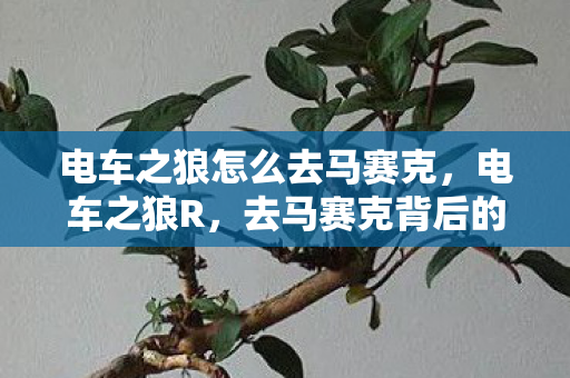 电车之狼怎么去马赛克，电车之狼R，去马赛克背后的视觉艺术与文化探索