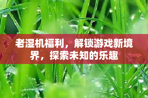 老湿机福利，解锁游戏新境界，探索未知的乐趣