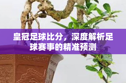 皇冠足球比分，深度解析足球赛事的精准预测