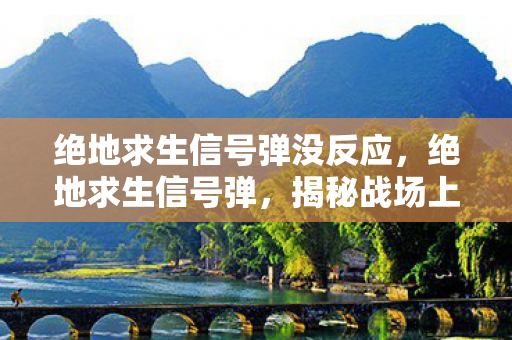 绝地求生信号弹没反应，绝地求生信号弹，揭秘战场上的神秘信号