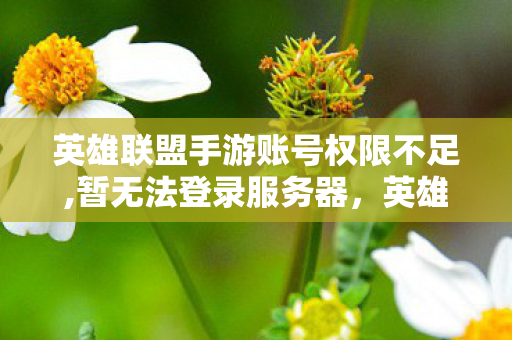 英雄联盟手游账号权限不足,暂无法登录服务器，英雄联盟手游账号权限不足，深度解析权限限制与合规运营