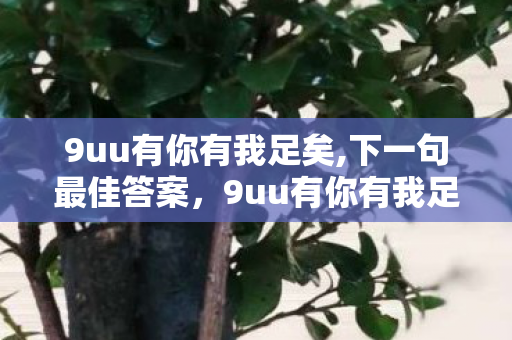 9uu有你有我足矣,下一句最佳答案，9uu有你有我足矣!