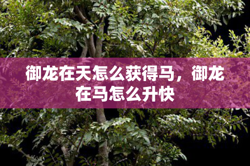 御龙在天怎么获得马，御龙在马怎么升快