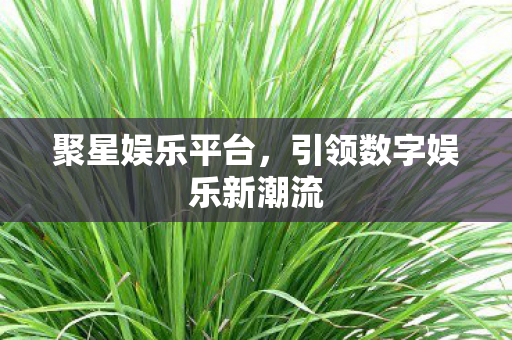 聚星娱乐平台，引领数字娱乐新潮流