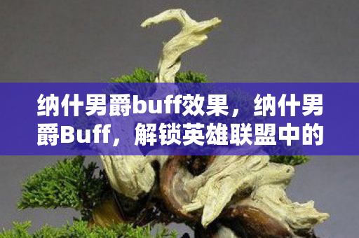 纳什男爵buff效果，纳什男爵Buff，解锁英雄联盟中的隐藏力量