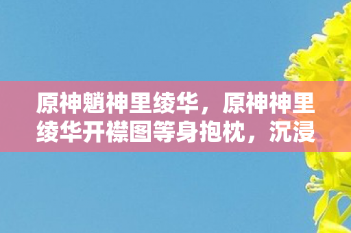 原神魈神里绫华，原神神里绫华开襟图等身抱枕，沉浸式体验与收藏价值