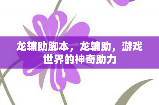 龙辅助脚本，龙辅助，游戏世界的神奇助力
