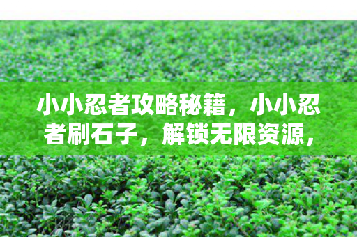 小小忍者攻略秘籍，小小忍者刷石子，解锁无限资源，打造最强忍者！