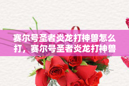 赛尔号圣者炎龙打神兽怎么打，赛尔号圣者炎龙打神兽，挑战与荣耀的传奇之旅