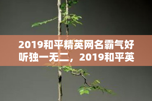 2019和平精英网名霸气好听独一无二，2019和平英网名霸气好听