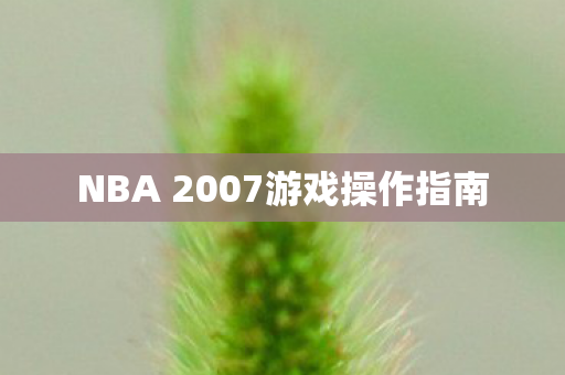 NBA 2007游戏操作指南