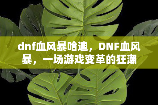 dnf血风暴哈迪，DNF血风暴，一场游戏变革的狂潮