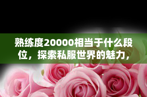 熟练度20000相当于什么段位，探索私服世界的魅力，一场游戏规则的另类演绎