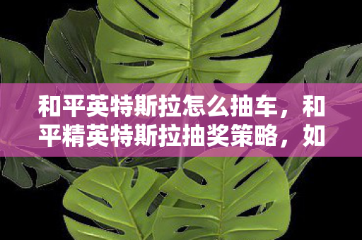 和平英特斯拉怎么抽车，和平精英特斯拉抽奖策略，如何高效获取心仪载具