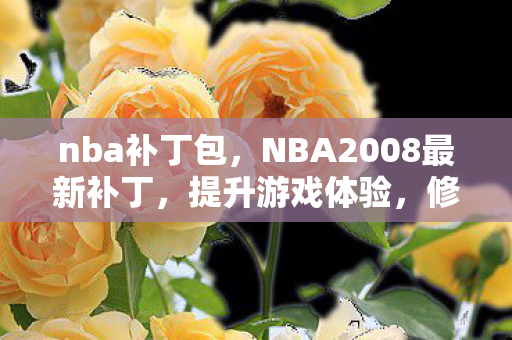 nba补丁包，NBA2008最新补丁，提升游戏体验，修复常见问题