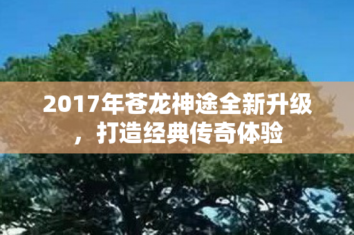 2017年苍龙神途全新升级，打造经典传奇体验
