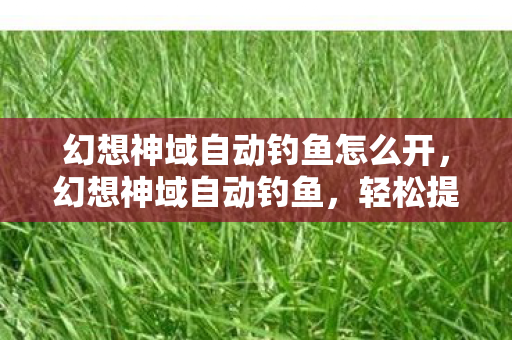 幻想神域自动钓鱼怎么开，幻想神域自动钓鱼，轻松提升游戏效率