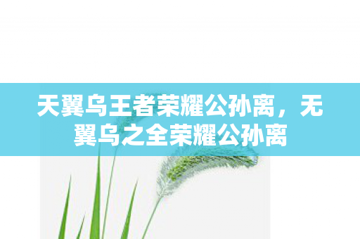 天翼乌王者荣耀公孙离，无翼乌之全荣耀公孙离