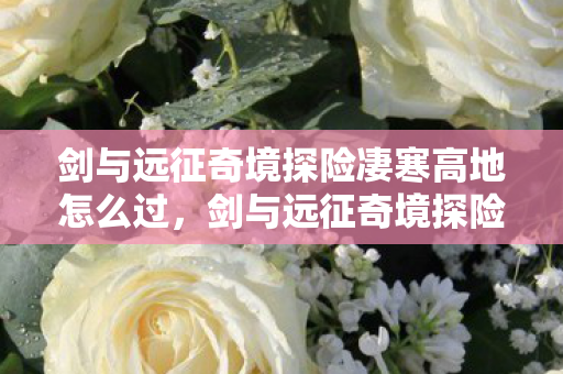 剑与远征奇境探险凄寒高地怎么过，剑与远征奇境探险，凄寒高地深度解析