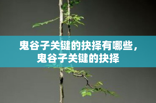 鬼谷子关键的抉择有哪些，鬼谷子关键的抉择