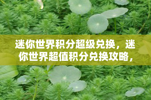 迷你世界积分超级兑换，迷你世界超值积分兑换攻略，解锁隐藏福利，玩转游戏新体验