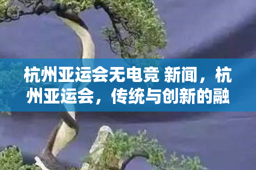 杭州亚运会无电竞 新闻，杭州亚运会，传统与创新的融合，展现体育精神新风貌