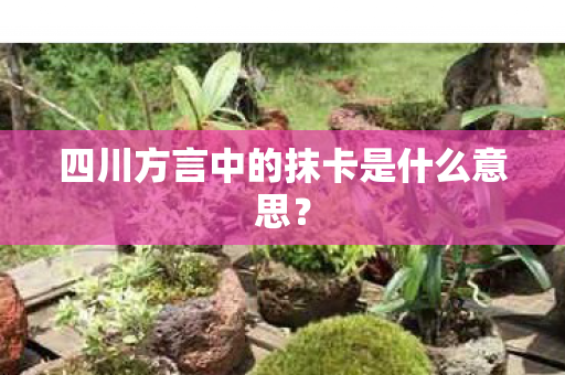 四川方言中的抹卡是什么意思？