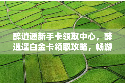 醉逍遥新手卡领取中心，醉逍遥白金卡领取攻略，畅游仙境，尊享特权