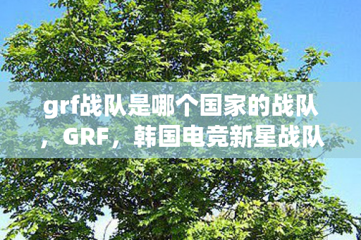 grf战队是哪个国家的战队，GRF，韩国电竞新星战队