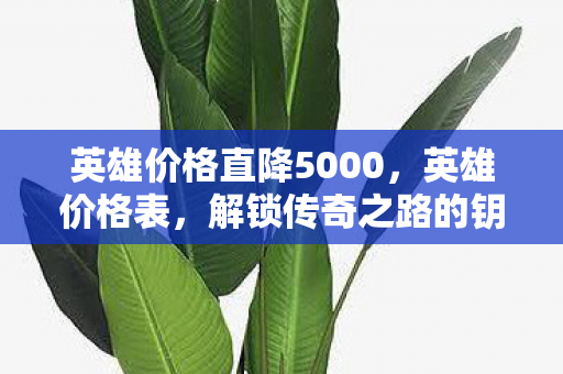 英雄价格直降5000，英雄价格表，解锁传奇之路的钥匙