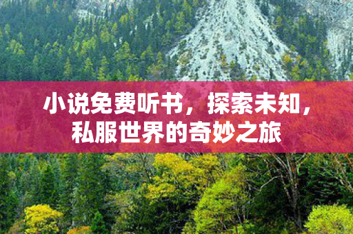 小说免费听书，探索未知，私服世界的奇妙之旅