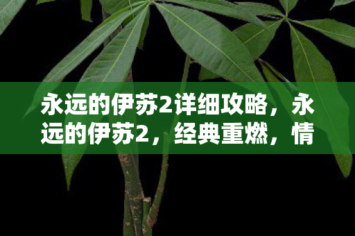 永远的伊苏2详细攻略，永远的伊苏2，经典重燃，情怀再现