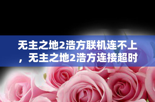 无主之地2浩方联机连不上，无主之地2浩方连接超时，解决之道与游戏社区探讨