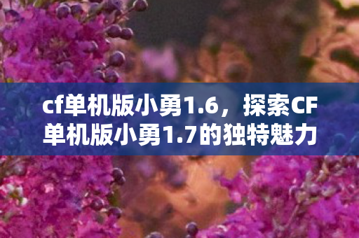 cf单机版小勇1.6，探索CF单机版小勇1.7的独特魅力