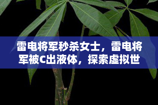 雷电将军秒杀女士，雷电将军被C出液体，探索虚拟世界的禁忌边缘