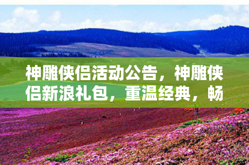 神雕侠侣活动公告，神雕侠侣新浪礼包，重温经典，畅享武侠世界
