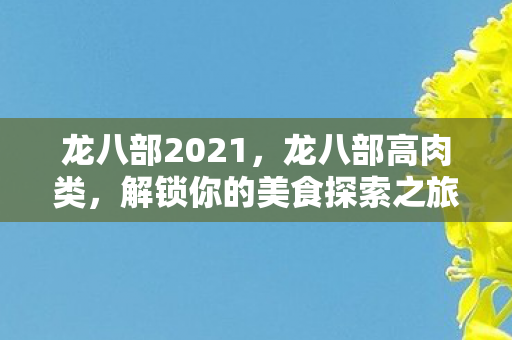 龙八部2021，龙八部高肉类，解锁你的美食探索之旅